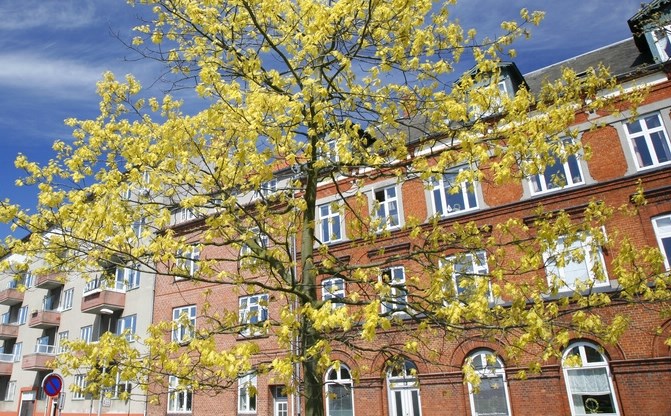 Almene Boligselskaber - hele landet.jpg